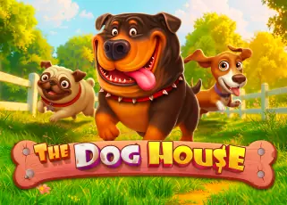 ko789 The Dog House ทดลองเล่นฟรี